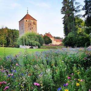Château De Vault De Lugny - Frequently Asked Questions