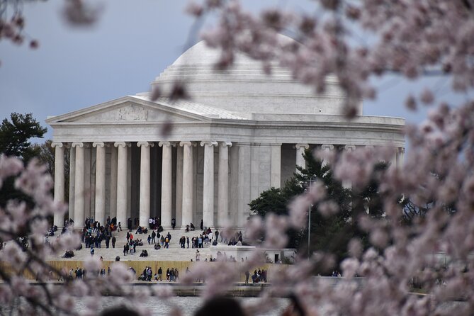 Cherry Blossom Private Bus Tour of Washington DC - Inclusions and Amenities