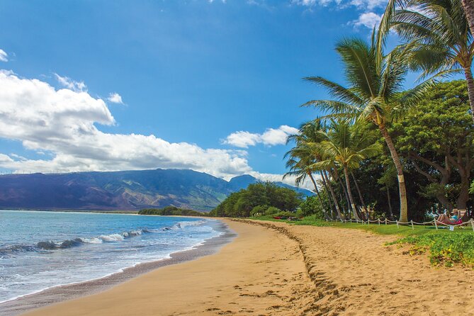 Circle Oahu Island Private Tour With Daily Chauffeur - Tour Accessibility and Participation