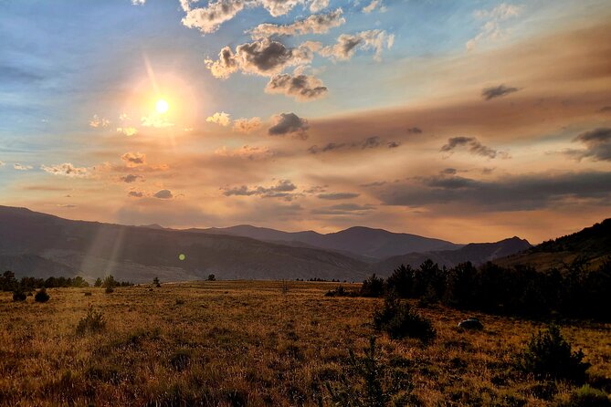 Day Hike in Yellowstone - Accessibility and Tour Information