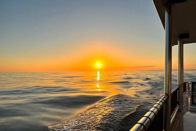 Destin Crab Island Tour - What to Expect During the Tour