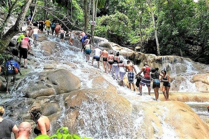Dunns River Falls and Horseback Riding Tour From Montego Bay - Convenient Pickup and Transportation
