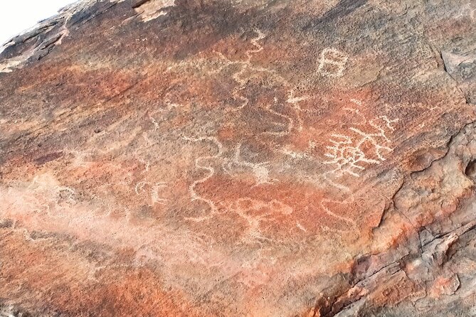 DZRT Splendor Adventure: RED ROCK RIM UTV TOUR - Petroglyphs & Pioneer Saloon - Amenities and Comfort