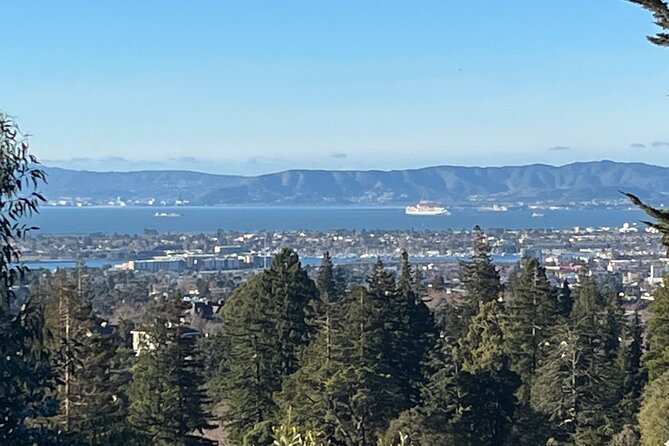 Explore San Francisco Napa Sacramento Oakland Black Exp Car Tour - Accessibility