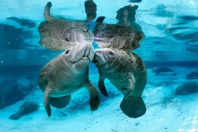 Explore Wildlife Sanctuaries on the WILD Palm Beaches Tour - Inclusions and Amenities