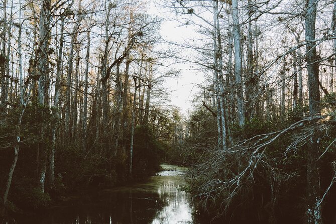 Full-Day Private Everglades and Miami City Tour - Meeting and Pickup Information