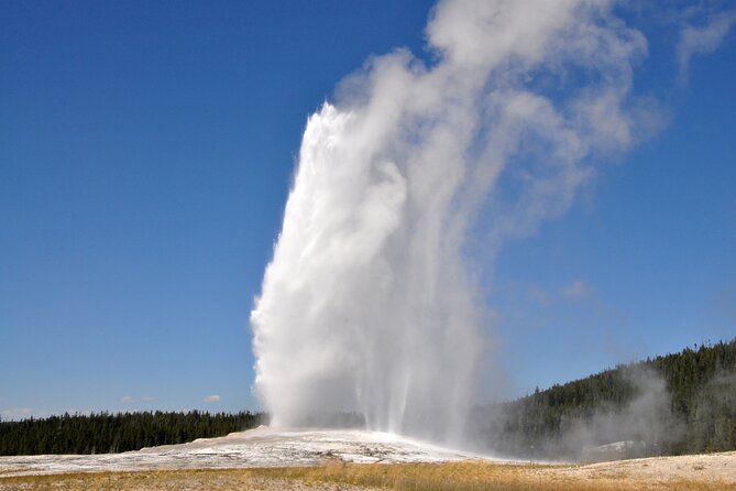 Full Day Private Guided Tour in Yellowstone National Park - Inclusions