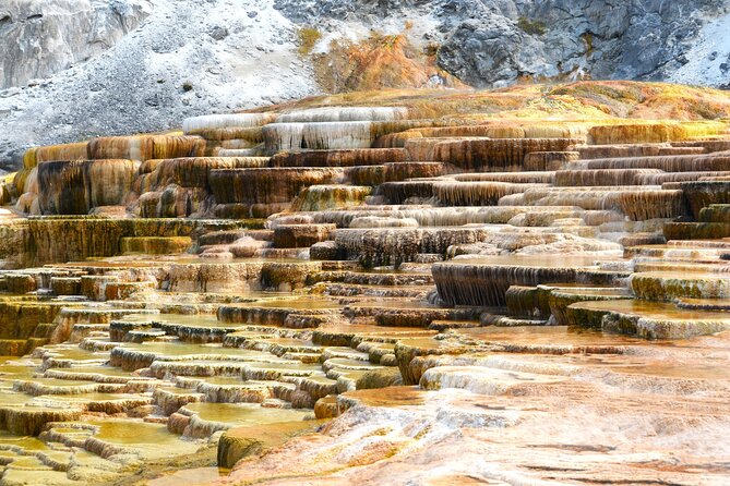 Full Day Private Yellowstone National Park Lower Loop Adventure - Navigating the Parks Diverse Terrain