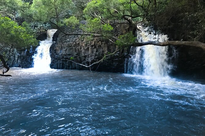 Full Day Small Group Tour of Maui Waterfall, Beach and Hana - Pickup and Drop-off Information