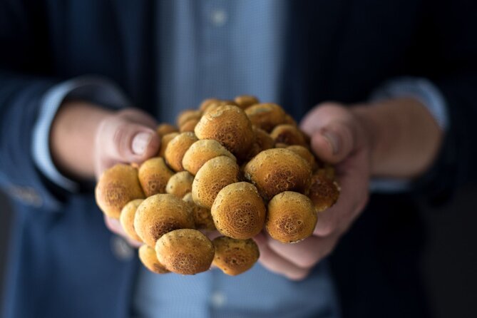 Gourmet Mushroom Farm Tour in Tennessee - Booking and Payment Options