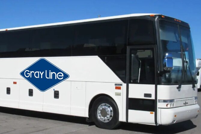 Gray Line NY Sightseeing Flex Pass to Moma and 120+ Options - Pricing and Guarantee