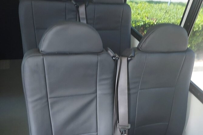 Group Transportation Houston to Galveston Cruise & Hotels 16 PAX. - Booking Process and Confirmation