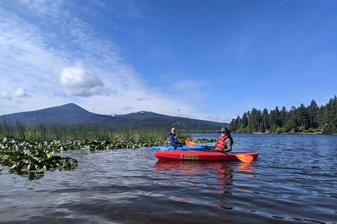 Guided Half-Day Kayak Tour - Booking and Cancellation Policies