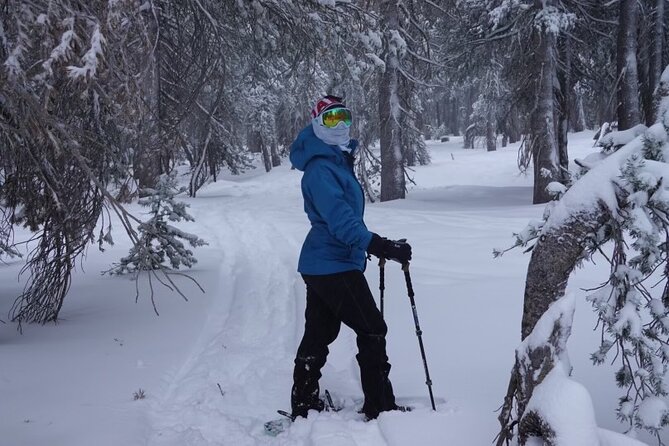 Guided Snowshoe Experience in Lake Tahoe - Pickup and Transportation Details