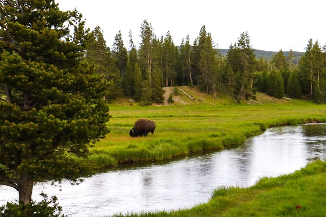 Guided Yellowstone National Park Trip - Exploring Yellowstones Main Attractions