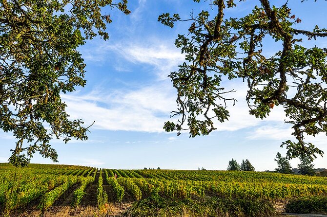 Heart of Willamette Winery Pass : Wine Tastings and Discounts - Wineries Included in the Pass