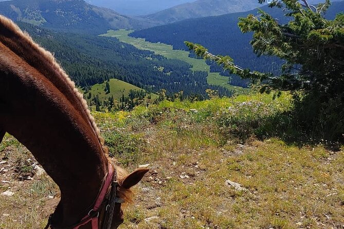 High Mountain Scenic Trail Rides in the Teton Range - Duration and Dining Experience