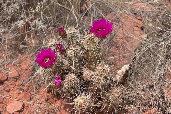 Hike and Heal Couples Relationship in Sedona Healing Red Rocks - Essential Items to Bring for Your Adventure
