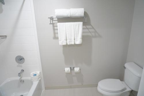 Holiday Inn Express Fremont - Milpitas Central, an IHG Hotel - Onsite Facilities and Services