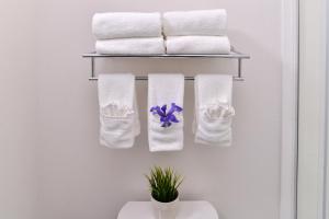 Holiday Inn Express & Suites San Diego - Mission Valley, an IHG Hotel - Rooms and Amenities