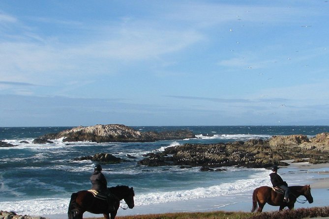 Horseback Ride on the Beach & Alcatraz Tour in San Francisco - Booking Information and Policies