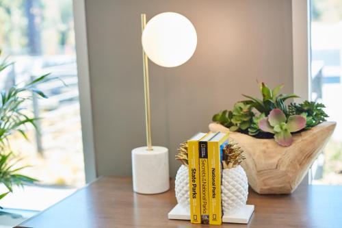 Hotel Trio Healdsburg - Spacious Rooms and Amenities