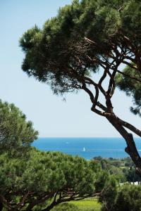 Hotel Villa Marie Saint Tropez - Dining and Cuisine