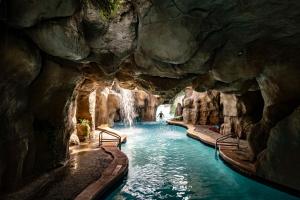 Hyatt Regency Grand Cypress Resort - Dining Options
