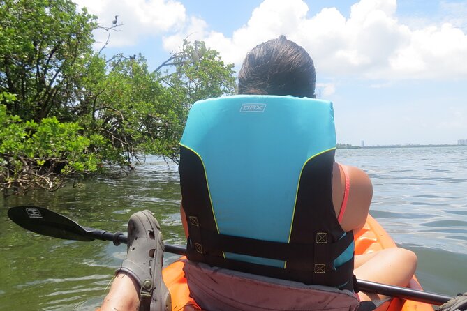Kayak Eco Tourism in Miami Bay - Pricing and Booking Details