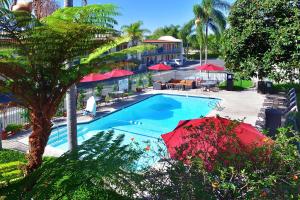 Lamplighter Inn & Suites at SDSU - Guest Experiences and Feedback