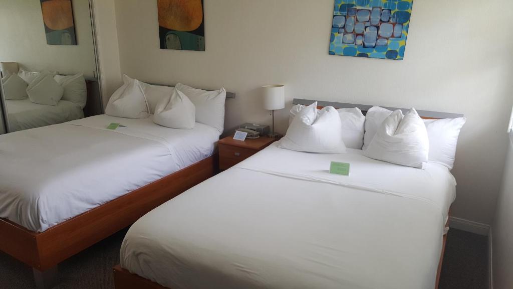 Magic Castle Hotel - Amenities and Facilities