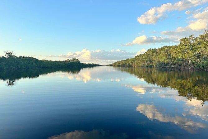 Mangrove and Gulf Excursion Tour - Inclusions