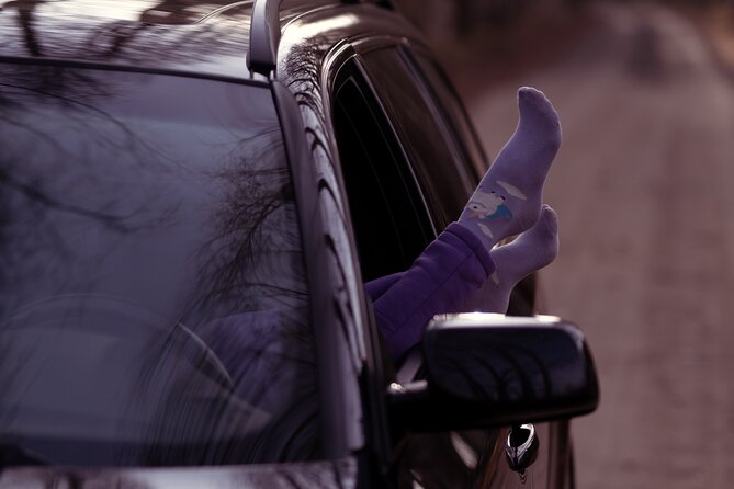 Manhattan to JFK Private Transfer by Luxury SUV - Special Accommodations and Accessibility