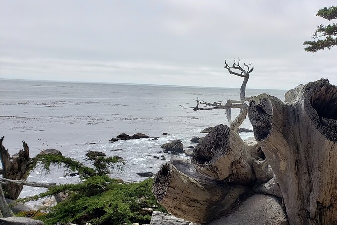 Monterey & Carmel Sightseeing Private Tour (10-Hour Minimum) - Pickup and Cancellation Policies