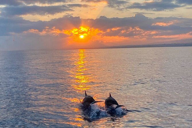 Moonlight & Music Sunset Cruise (BYOB) - Booking and Pricing