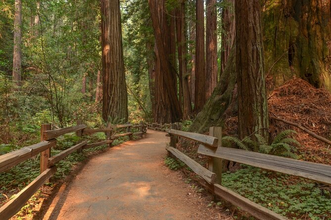 Muir Woods Self-Guided Driving and Walking Audio Tour - Flexibility and Accessibility Options
