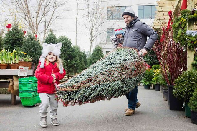 New York Citys Iconic Christmas Tour - Tour Features