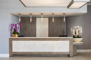 Ocean View Hotel - Staff Highlights