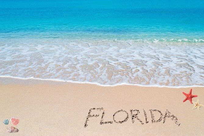 Orlando Private Transfer to Miami (UP TO 14 PASSENGERS) - Pickup and Drop-off Process