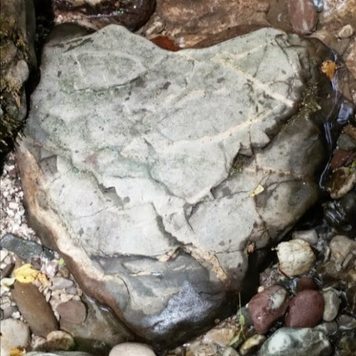 Paso Robles Inn - Amenities and Facilities