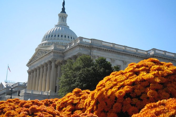 Private 4-Hour Walking Tour in Washington With Official Tour Guide - Accessibility and Participation Details