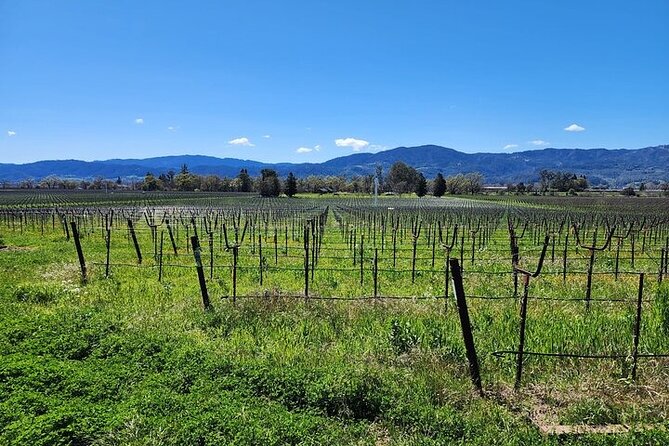 Private Champagne and Wine Tour to Sonoma and Napa - Pickup Information