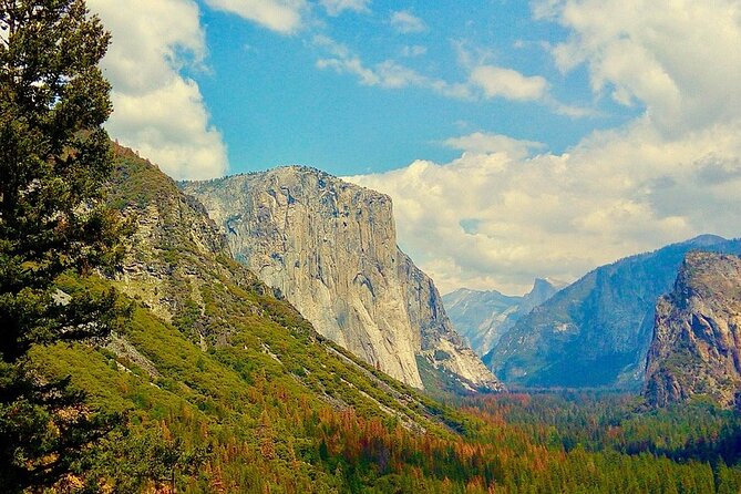 Private Day Tour to Yosemite National Park - Pickup and Drop-off Information