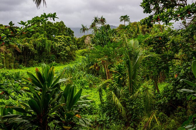 Private Halfway to Hana + Waterfall & Garden of Eden Tour - Meeting and Pickup