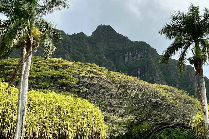 Private Island Tours and Charters Through the Island of Oahu - Customizing Your Private Island Adventure in Oahu