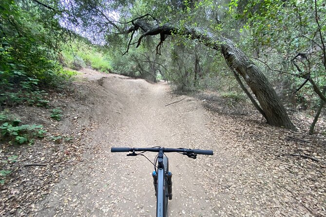 Private Mountain Biking Adventure in San Diego - Booking Information and Policies