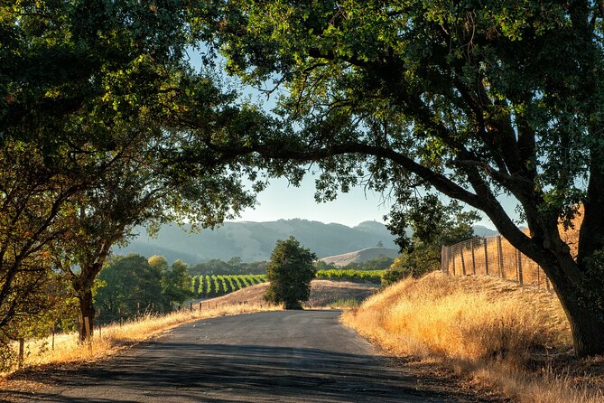 Private Tour Napa and Sonoma Valley Wine - Meeting and Pickup