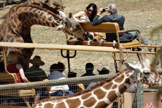 Private Tour of Sonoma Wild Safari Animal Park and Sonoma Redwoods - Inclusions and Amenities