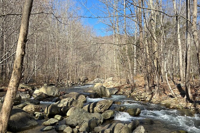 Private Trout Fishing Excursion in Virginia - Health and Safety Considerations