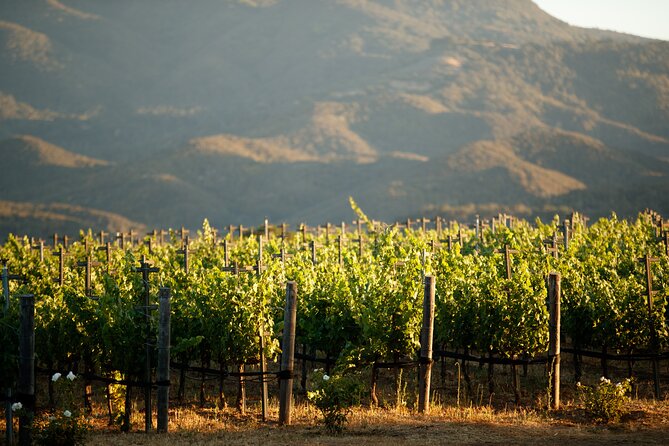 Private Vineyard Tour and Wine Tasting - Participation Details